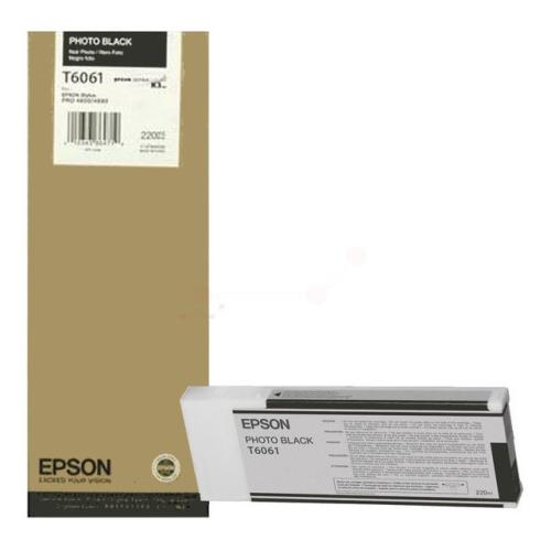 Epson Cartus cu cerneala fotografie neagră (C13T606100 / T6061)