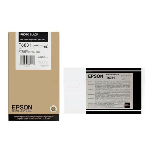 Epson Cartus cu cerneala fotografie neagră (C13T603100 / T6031)