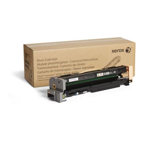 Xerox Tambur (113R00779 / 113R779)