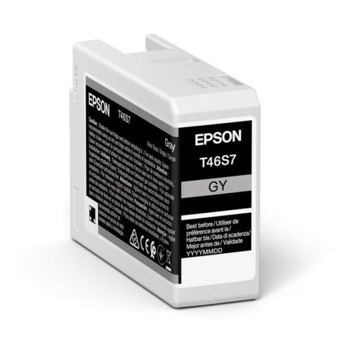 Epson Cartus cu cerneala gri (C13T46S700 / T46S7)