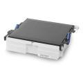 Oki Unitate de transfer (44472202)