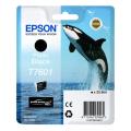 Epson Cartus cu cerneala fotografie neagră (C13T76014010 / T7601)