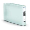 Epson Cartus cu cerneala negru (C13T90814N / T9081)